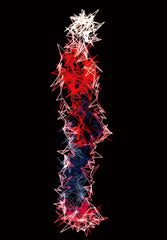 Digital ART Rank2.3